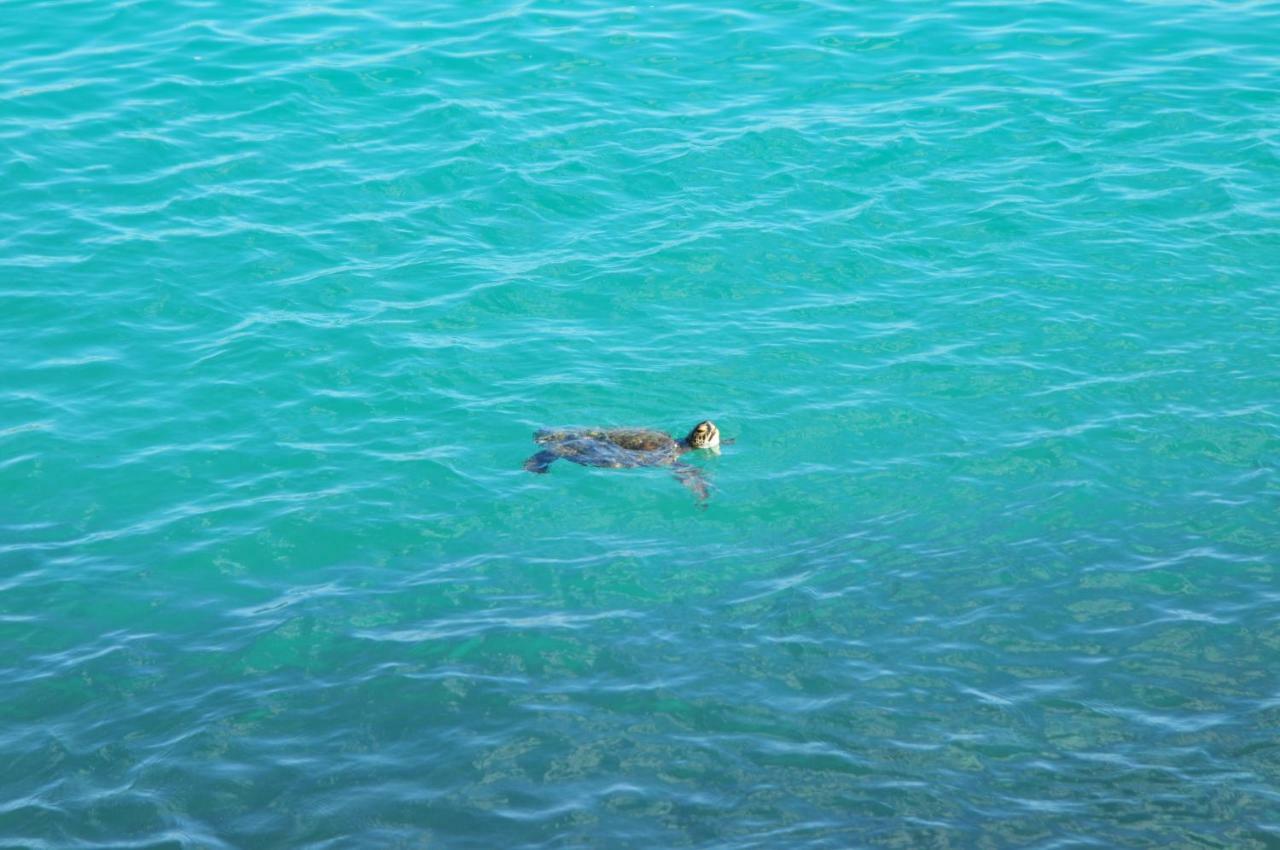 Canto Da Arvore 1 Arraial do Cabo Luaran gambar